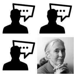 Frases de chimpancés