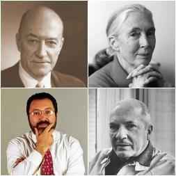 Frases de presupuesto