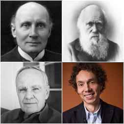 Frases de selección