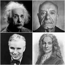 Frases de sentido común