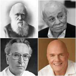 Frases de supervivencia