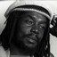 Frases de Peter Tosh
