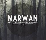 Las cosas que no pude responder